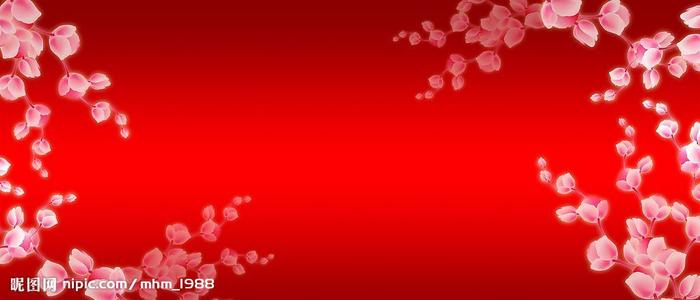 南非护照电子版怎么购买